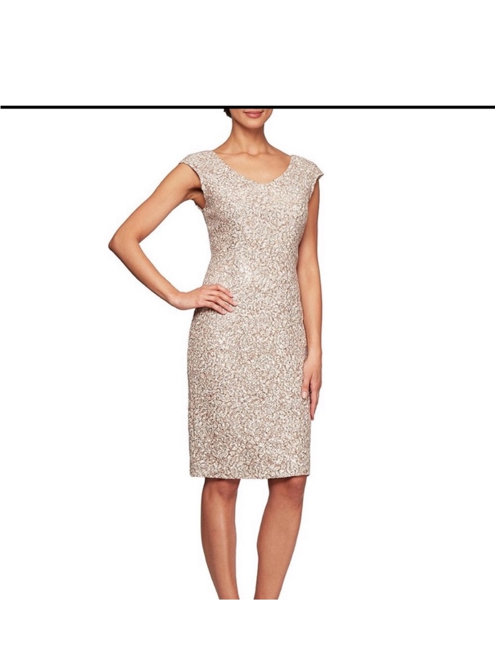 Alex Evenings Metallic Lace Sheath Dress in Light Champagne